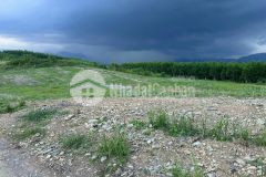 Bán đất vườn diên xuân giá rẻ gần ngay khu dân cư