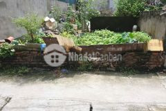 Đất hiếm tìm đông anh, 2 nhà ra ô tô tránh, giá bình dân