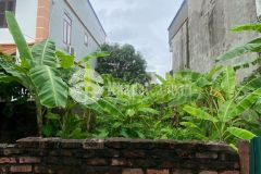 Đông dư ngõ thông gần hồ điều hoà 160m2 mặt tiền 8m