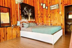 Sang homestay sân vườn có view, hẻm ô tô 34 p3 đà lạt, 12pn full nội thất gpkd pccc, tổng 250tr