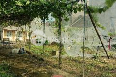 Kiêu kỵ 71m2 mặt tiền 6,3m nhỉnh 2 tỷ