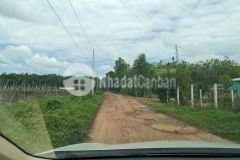 Cần bán 1573m2 công đất vườn giá rẻ chỉ 275 triệu