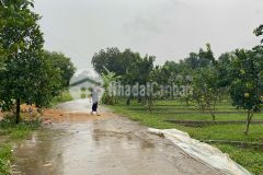 Đầu tư x2,x3 tài sản ngay hôm nay còn 15 lô đất nền bảo hiệu, yên thuỷ, hoà bình chỉ 2xxlô