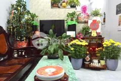 Khu dân trí cao, an ninh, ô tô tránh nhau giá chỉ 4.8 tỷ