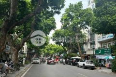 Mặt phố trần phú cực đẹp hạ 3 tỷ 40m2, 5 tầng vỉa hè 5m kinh doanh hiếm quận ba đình