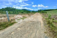 Bán đất vườn khánh bình giá rẻ ngay sát bên tỉnh lộ 8