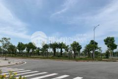 Lô góc bùi tán hán giá siêu rẻ bất ngờ