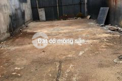 Bán đất giáp quận 12 dt 5x14 giá 1.3 tỷ mua bán ccvb. lh0989051445
