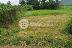 Đang cần tiền nên bán gấp lô đất rẻ nhất khu vực ninh xuân.