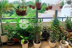 Nhà ngộp nặng gần hoàng diệu 2 linh.trung thủ đức 3 tầng 3pn chỉ 5,65t. đồng