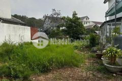 Đất xây biệt thự đường mai anh đào p8 dalat chỉ 8,5 tỷ