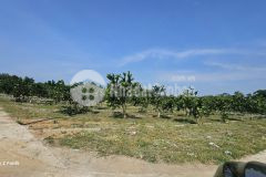 Hàng f0 chủ đầu tư rich land giá chỉ 255tr có 176m tại bảo hiệu, yên thuỷ, hoà bình