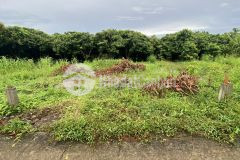 Nền 175m2, giai xuân, cách ngã 4 giao với đường tỉnh 917 nối về chợ phong điền khoản 400m.