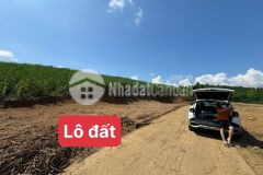 Bán đất vườn khánh nam giá rẻ đường bê tông ngay sau lưng uỷ ban đi vào