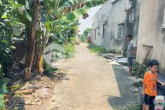 Cô 6 cần bán gấp lô đất sông trầu, shr, dt 533m, giá 600tr, chốt chứng ạ đường xe hơi trước đất 5m