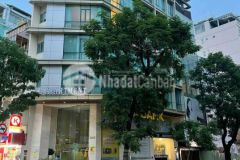 Toà nhà góc 2mt lý tự trọng, quận 1 8x20m hđt 330 triệu. liên hệ yến 0913.362.374