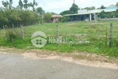 Bán đất giá rẻ tại đồng phú ngay đường xuyên tâm