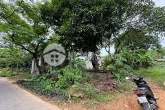 Bán đất rộng 400m2 tại trục chính đi tây thiên, đại đình, tam đảo, vĩnh phúc