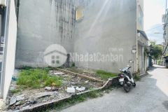 Tư đình 81m2 mt 8,1m mặt ngõ ô tô 7 chỗ thông