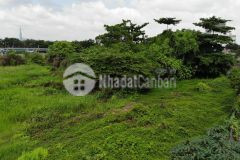 Cần bán mảnh vườn giá 350tr có sẵn hàng rào ngay đường tuyến