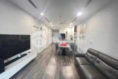 Bán căn hộ cao cấp the nine số 9 phạm văn đồng, mai dịch 92m 3pn full đồ có 2 slot oto cực hiếm