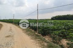 Cần bán 5 công đất vườn với giá rẻ