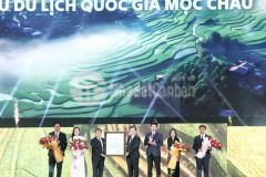 Bán khách sạn thị trấn mộc châu giá chỉ từ 2.7 tỷ dự án panacea hill