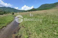 Bán đất vườn diên tân giáp suối chảy quanh năm đường thông gần dân gần hồ cây sung