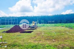 Mua ngay đất nền phú lộc sổ đỏ, giá chỉ 7xx triệu ưu đãi lên tận 5 chỉ vàng dành cho người nhanh tay