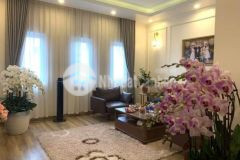 Thua lỗ ck bán gấp nhà ngõ 570 kim giang cạnh kđt linh đàm ô tô vf3 đỗ cửa 56m2 chỉ 5.79 tỷ.