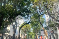 Tân mai hoàng mai 45m 4 tầng, ngõ thông oto gần nhà, sổ đỏ chính chủ giá 5.2 tỷ