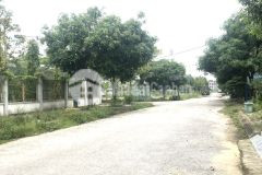 Gia đình cần tiền bán gấp lô đât 100mv đối diện sân bóng hoàng long