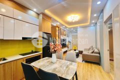 Chính chủ gửi bán căn hộ 2 ngủ view thoáng, nhà đẹp tại kdt thanh hà cienco 5