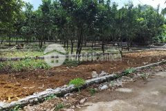 Yên trị, yên thuỷ, hoà bình còn duy nhất 1 lô lk08 chỉ 185tr