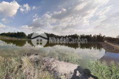 Đất giáp rạch lớn giá chỉ nhỉnh hơn 1trm2 tại xã bình khánh, cần giờ