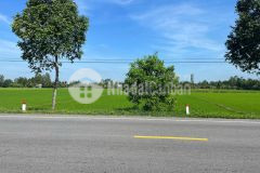 Chủ gửi bá.n 2.051m² mặt tiền gần 24m đất mặt tiền ql61c, xã vị thanh, vị thủy, hậu giang