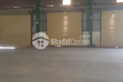 Cho thuê kho, xưởng tại kcn quang minh. huyện mê linh. hà nội