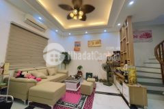 Phúc lợi, long biên nhà tốt giá chốt bất ngờ lô góc 30m2 ngõ thông ô tô chỉ hơn 5 tỷ