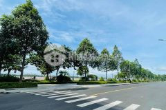 Bán lỗ lô góc 2 mặt tiền view sông tiền, p6, tp mỹ tho