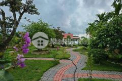 Biệt thự tổng dt 3400m2 xã hòa khánh tây, đức hòa,long an giá 12 tỷ