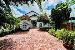 Nhà mái thái sân vườn hẻm đường nhựa mậu thân sau chợ đầu mối tân hoà