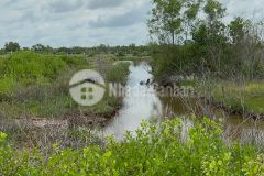 Chủ gửi lô đất trồng cây tại xã long hoà giá rẻ