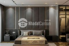 Nhà mới kính koong, xây hiện đại, ga ra, thang máy, thoáng trước sau, ô tô tránh, kinh doanh, nội th