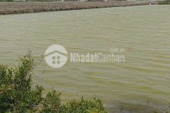 Bán đất dương văn hạnh, lý nhơn, cần giờ 20 x 71, giá 6,6 tỷ.