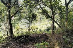 Bán đất sổ riêng nông nghiệp 9 xào