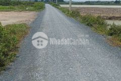 Bán đất lý nhơn, x. lý nhơn, cần giờ 29 x 79, giá 6,5 tỷ.