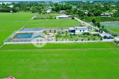 Nhà vườn view cánh đồng lúa tổng dt 2500m2 xã mỹ lạc,thủ thừa,long an giá 4,49 tỷ