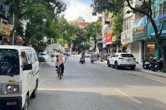 Bán gấp nhà phố trần khát chân, ô tô đõ cửa, kinh doanhdt 65m2, 4 tầng, mt 5m, 12.5tỷ