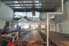 Hóc môn nhà xưởng mặt tiền đường nhựa 8m 300m2 thổ cư chỉ nhỉnh 9 tỷ