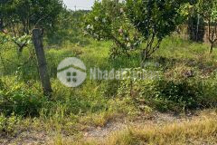 Cần bán 612m2, đất 50 năm, vuông vắn, ranh giới rõ ràng, ô tô vào đất